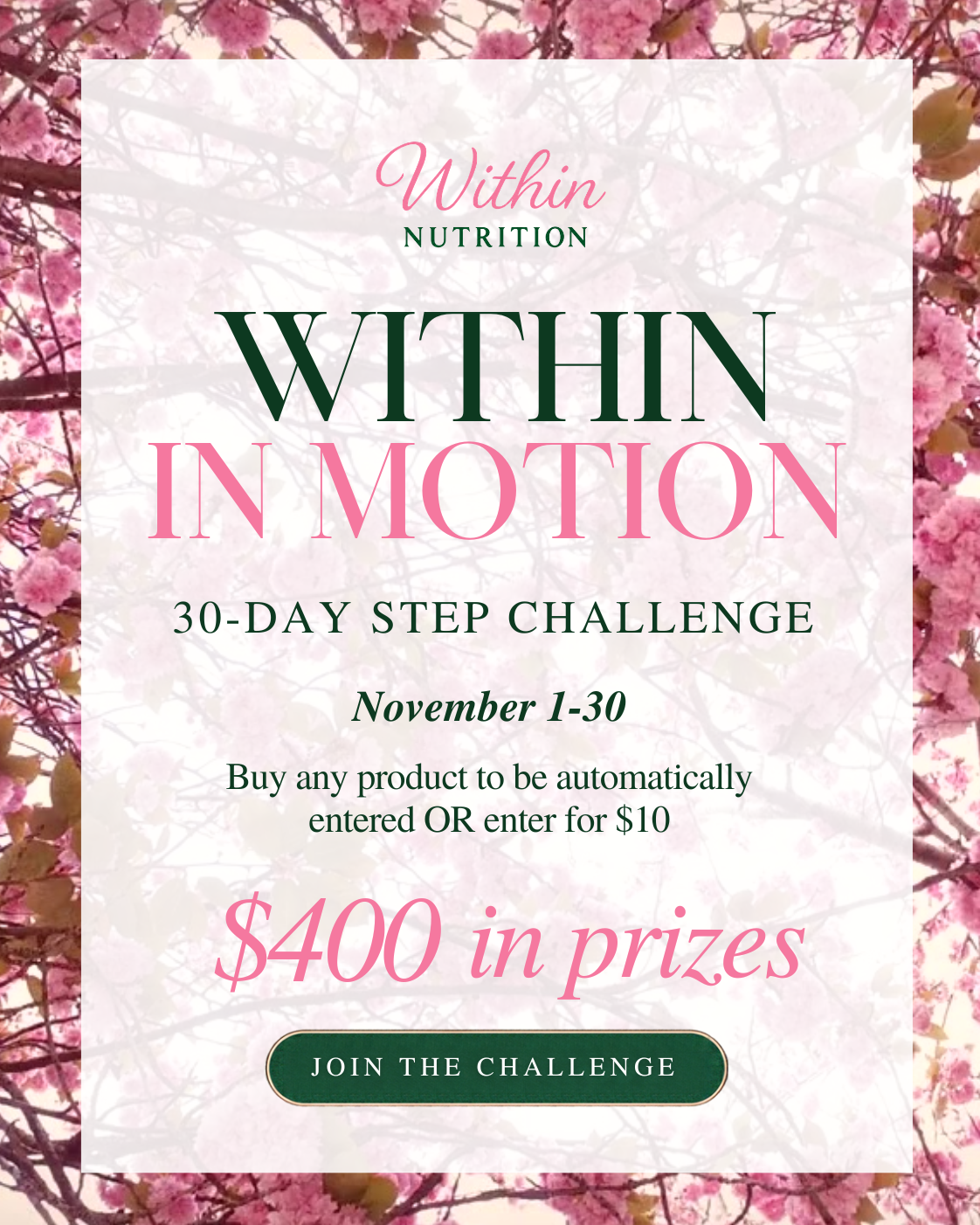 Within in Motion